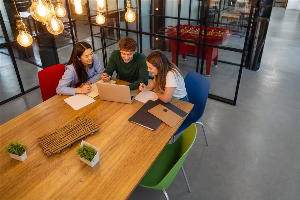 Studies, internships and transition to employment